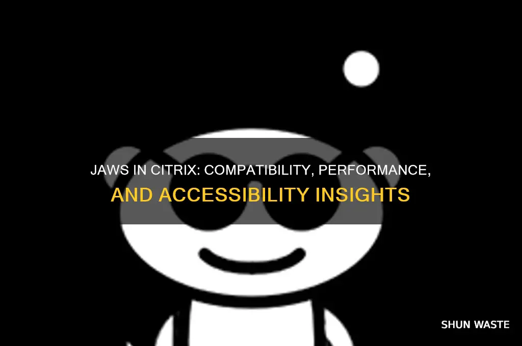 will jaws work in a citrix environment