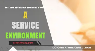 Can Lean Production Strategies Optimize Service Environments Effectively?