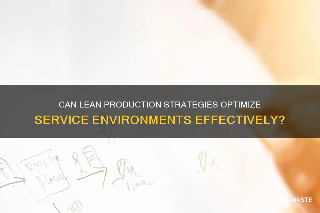 will lean production strategies work in a service environment
