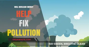 Can Nuclear Energy Be the Key to Solving Global Pollution?