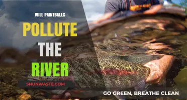 Do Paintballs Harm River Ecosystems? Environmental Impact Explained