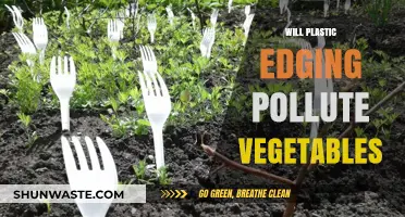 Plastic Edging in Gardens: Potential Risks to Vegetable Safety Explored