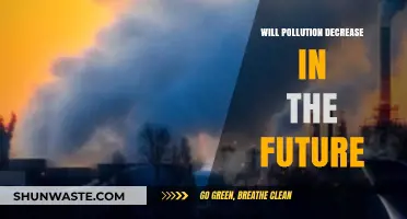Can Future Innovations and Policies Reduce Global Pollution Levels?