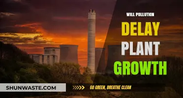Pollution's Impact: How Contaminants Affect Plant Growth and Development