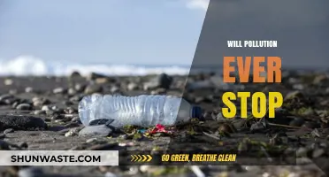 Ending Pollution: A Realistic Vision for a Sustainable Future?