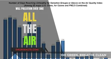 Air Pollution: A Looming Threat to Our Breath