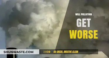 Will Pollution Worsen? Exploring Future Environmental Challenges and Solutions