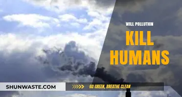 Deadly Air: How Pollution Threatens Humanity's Survival and Future