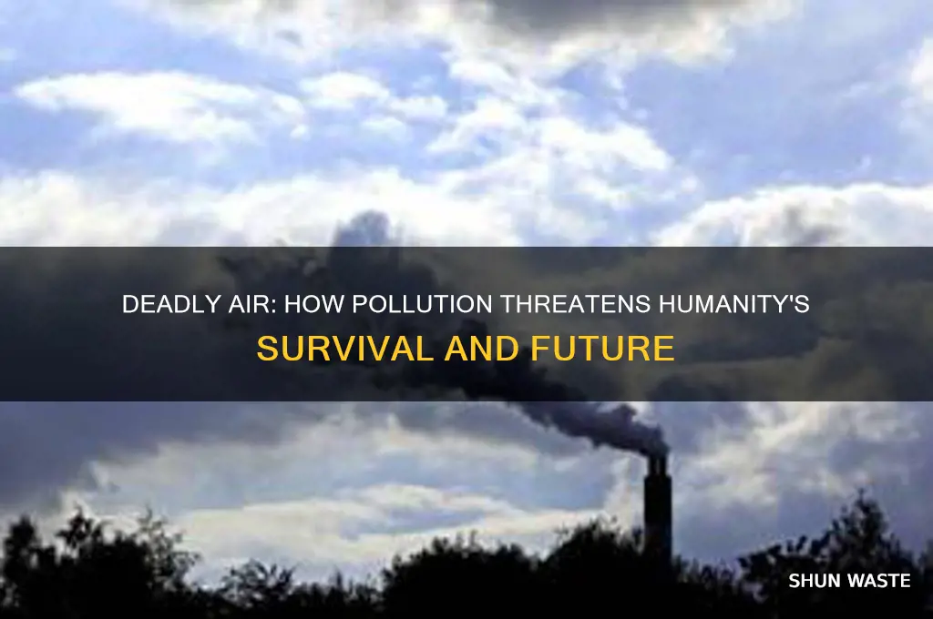 will pollution kill humans