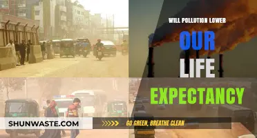 Pollution's Impact: How Environmental Toxins Threaten Our Life Expectancy