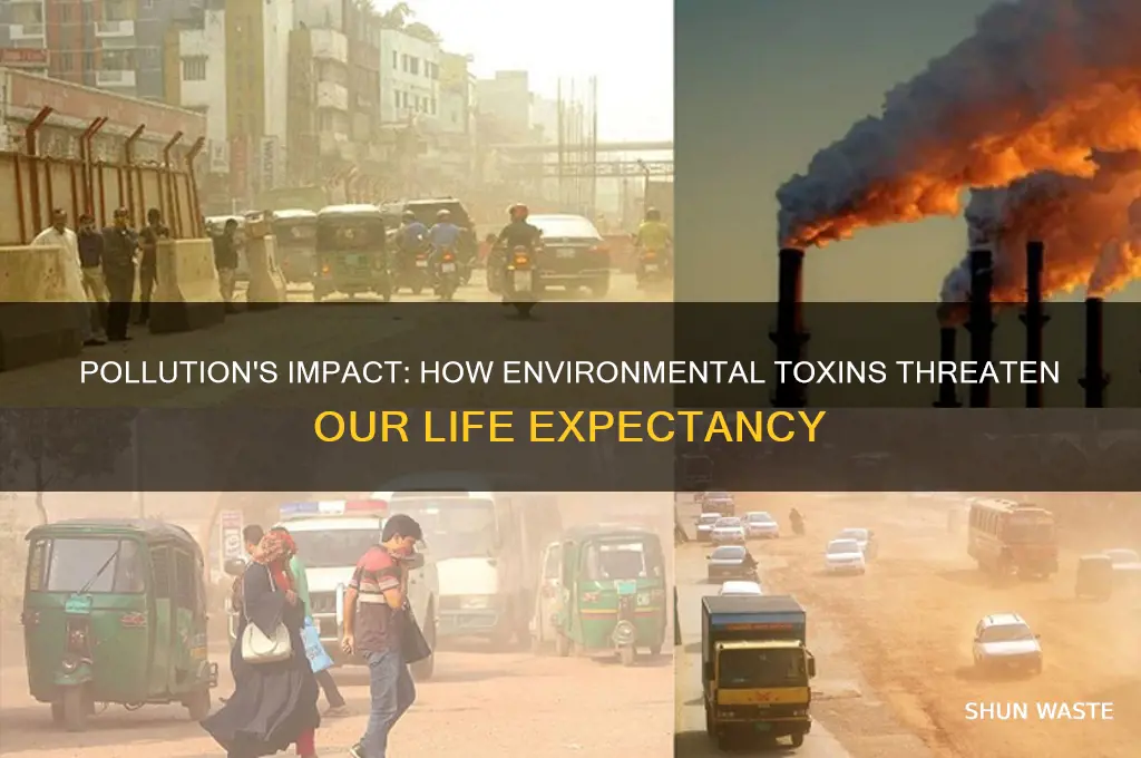 will pollution lower our life expectancy