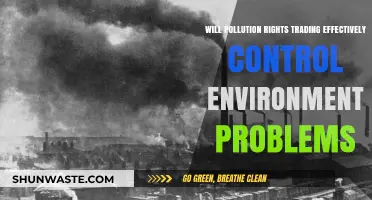 Can Pollution Rights Trading Solve Environmental Crises Effectively?