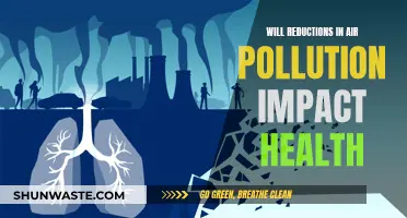 Air Pollution Reduction: Impacting Our Health?