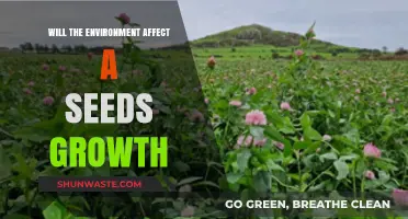 Environmental Factors: How Do They Influence Seed Growth and Development?