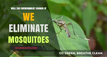 Eliminating Mosquitoes: Potential Environmental Impacts and Ecosystem Shifts