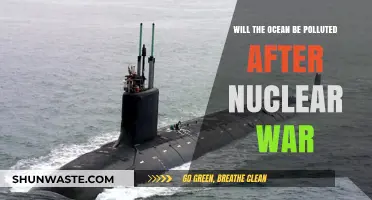 Nuclear War's Aftermath: Ocean Pollution Risks and Environmental Consequences
