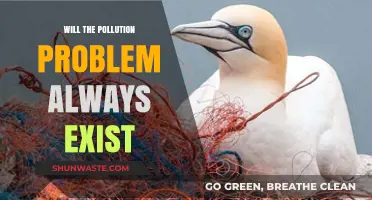 Can Humanity Ever Conquer Pollution? A Look at Our Persistent Environmental Challenge