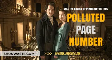 Pemberley's Polluted Pages: Exploring the Shades of Literary Controversy