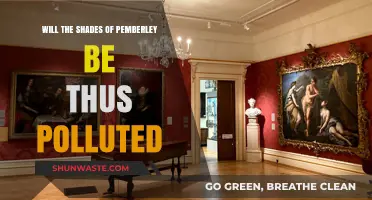 Pemberley's Legacy: Will Its Shades Be Polluted by Modernity?