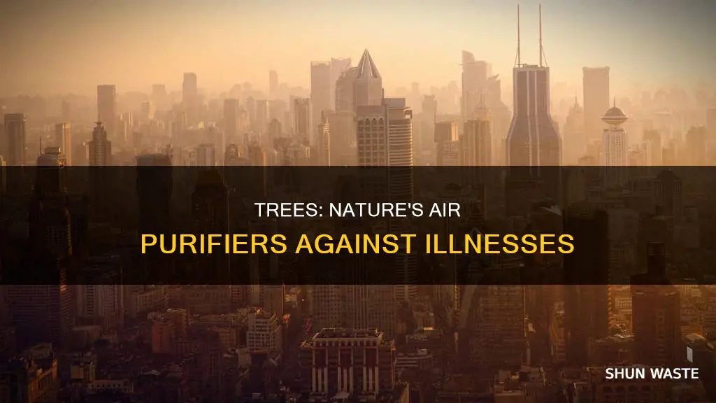 will trees limit illnesses from air pollution