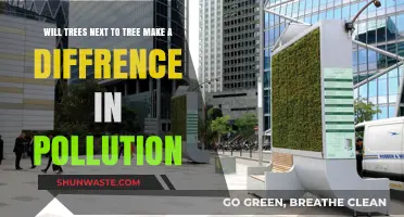 Can Neighboring Trees Significantly Reduce Urban Pollution Levels?