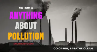 Trump's Environmental Policies: Will He Tackle Pollution Effectively?