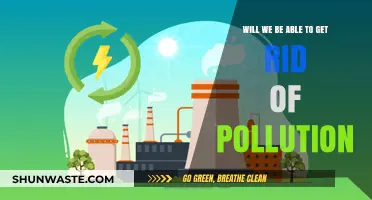 Can Humanity Overcome Pollution? Exploring Solutions for a Cleaner Future