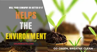 Boosting Business Through Eco-Friendly Practices: A Win-Win Strategy