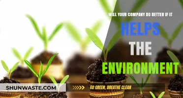 Boosting Business Through Eco-Friendly Practices: A Win-Win Strategy