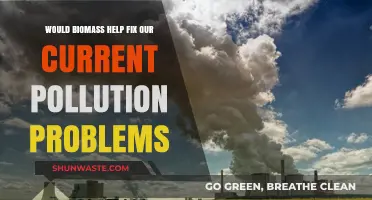 Biomass Energy: A Sustainable Solution to Combat Pollution?