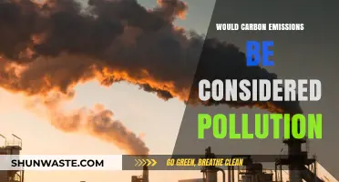 Are Carbon Emissions Pollution? Exploring the Environmental Impact