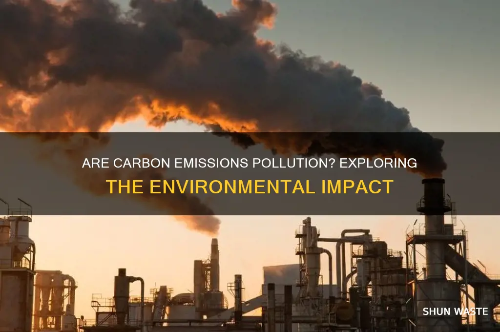 would carbon emissions be considered pollution