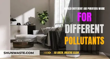 Air Purifiers: One Size Doesn't Fit All