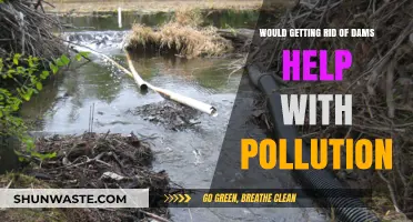 Removing Dams: A Key Solution to Reducing Water Pollution?