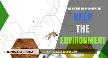 Eliminating Mosquitoes: Environmental Boon or Ecological Disruption?