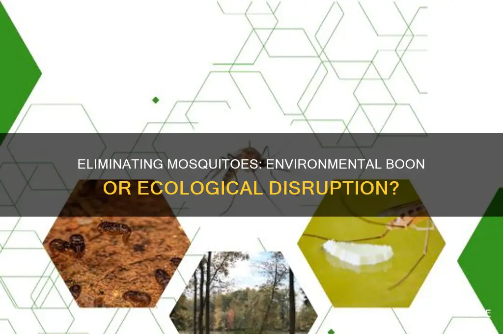 would getting rid of mosquitoes help the environment