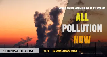Could Ending Pollution Today Halt Global Warming Tomorrow?