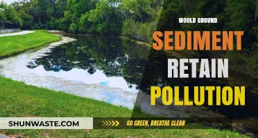 Can Ground Sediment Effectively Trap and Retain Environmental Pollutants?