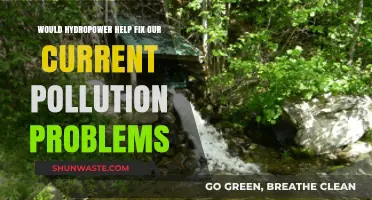 Hydropower's Role in Combating Pollution: A Sustainable Solution?
