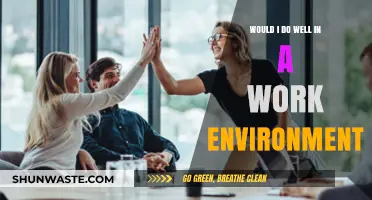 Assessing Your Fit: Would You Thrive in a Work Environment?