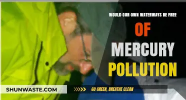 Can We Ever Achieve Mercury-Free Waterways in Our Lifetime?