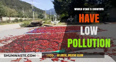 Do Stage 5 Countries Experience Lower Pollution Levels?
