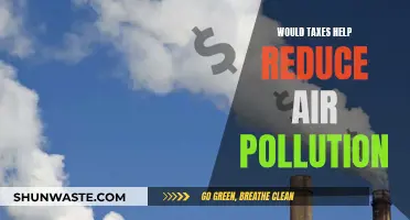 Taxing Polluters: A Solution to Cleaner Air?