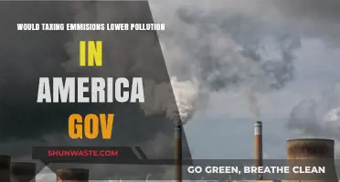 Taxing Emissions: A Viable Solution to Reduce US Pollution?