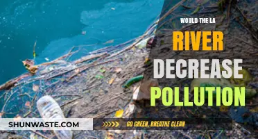 Can Revitalizing the LA River Reduce Urban Pollution Levels?