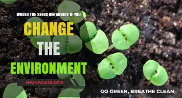 Impact of Environmental Changes on Seed Germination: A Comprehensive Analysis