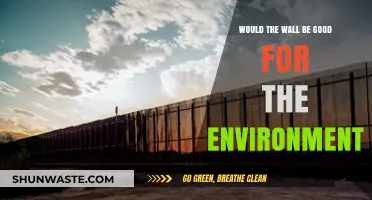 Environmental Impact of Border Walls: Pros, Cons, and Sustainability Concerns
