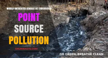 Is Untreated Sewage a Point Source Pollutant? Exploring the Impact