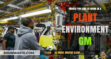 Exploring Opportunities: Working in a GM Plant Environment