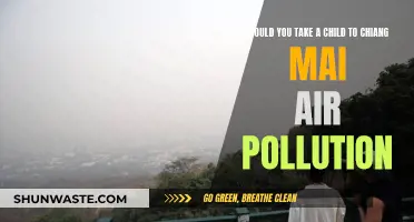 Chiang Mai Air Pollution: Safe for Children?